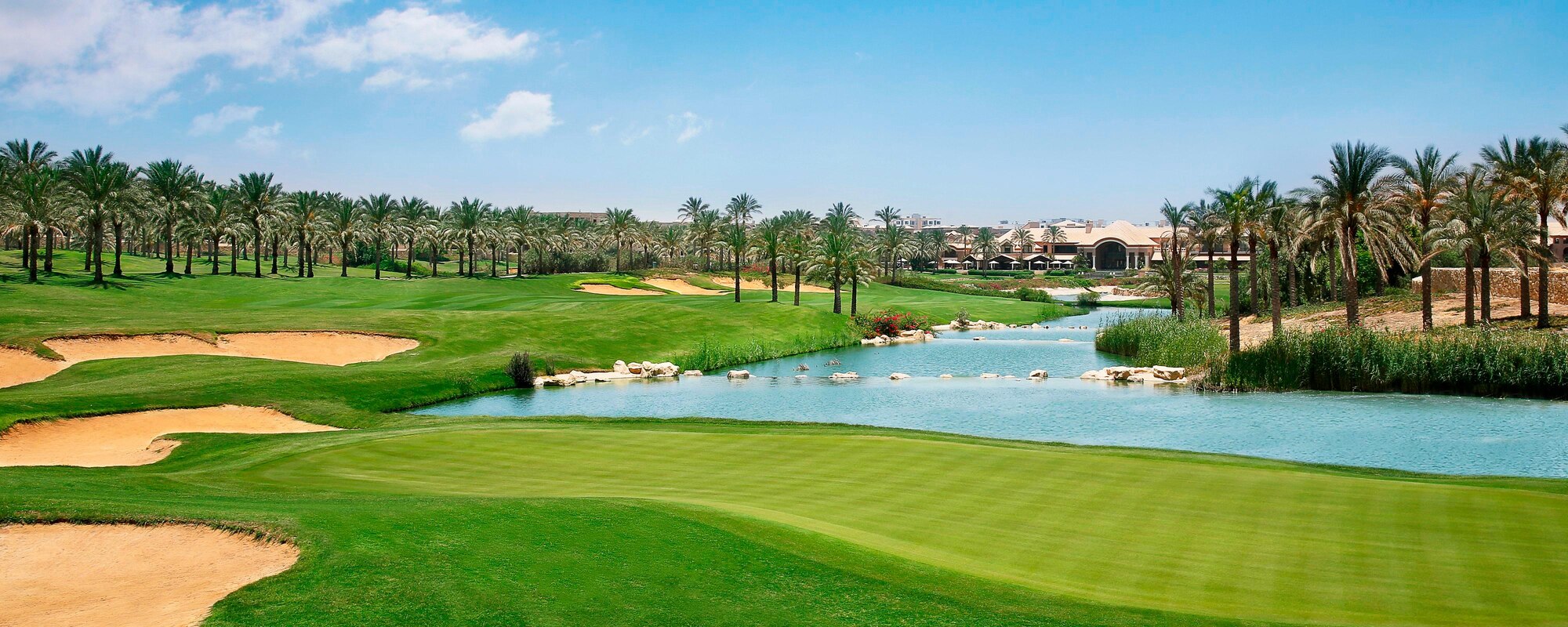 golf , palm , trees and lake